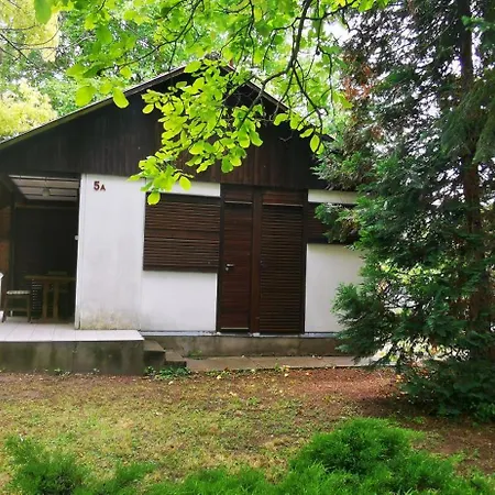 Csicsergo Vendeghaz *