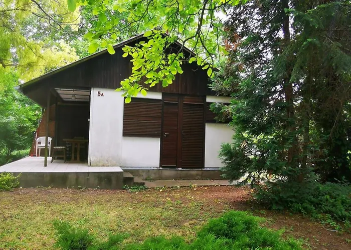 Csicsergo Vendeghaz *